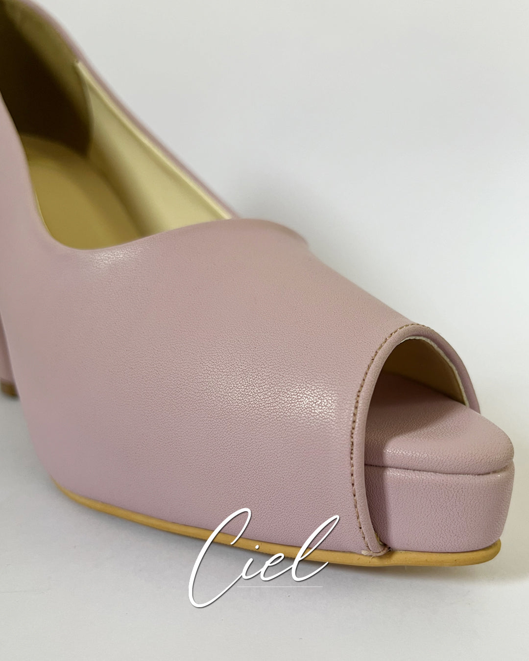 Lyon Pumps