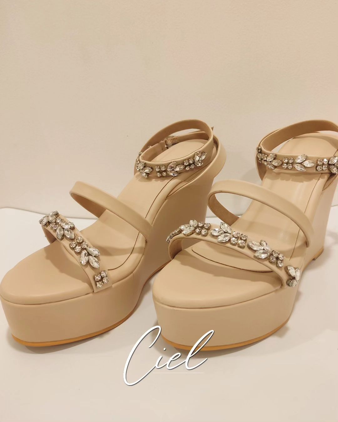 The IRIS Wedges