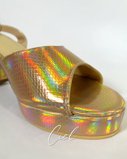 The Rainbow Heels